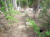 Blickenstaff Cemetery